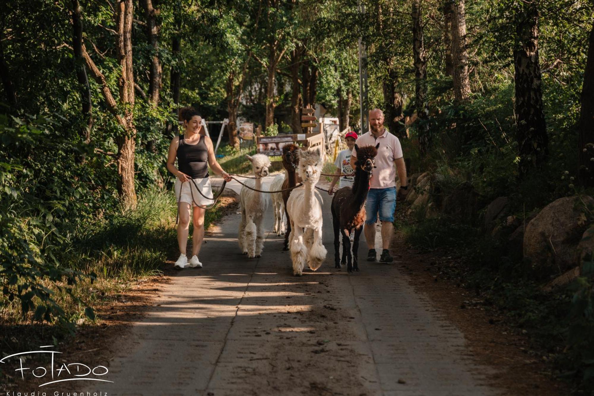 Domek Na Slonecznikowej Chmielno Exterior foto